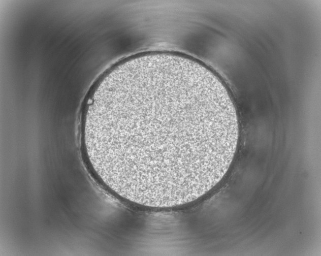 X0000069811126200606091828