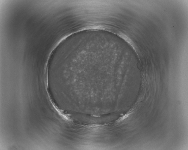 X0000069811127200606091828