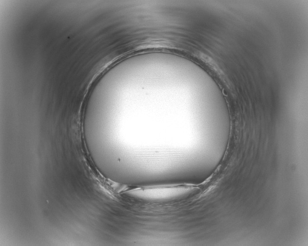 X0000069811129200606091828