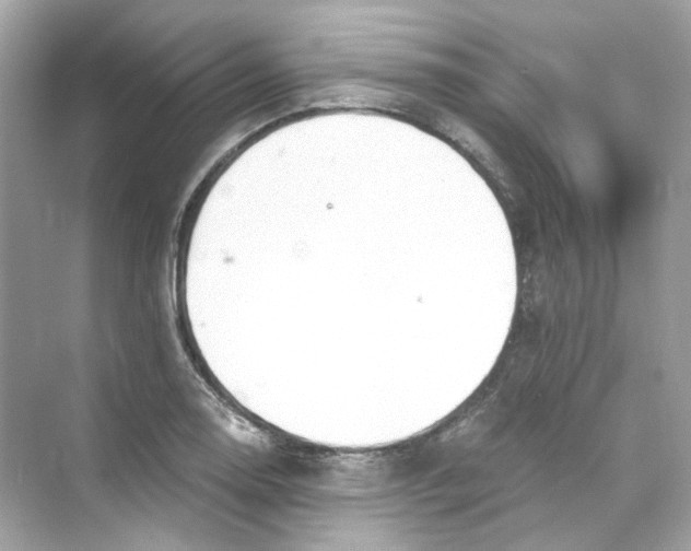 X0000069811130200606091828