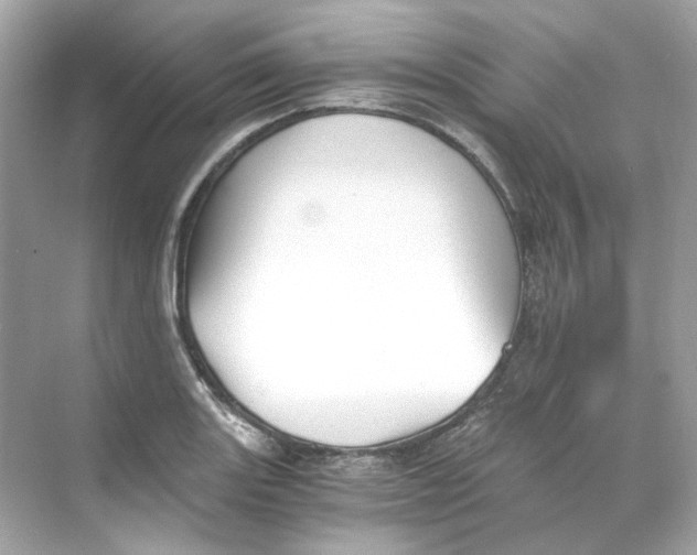 X0000069811131200606091828