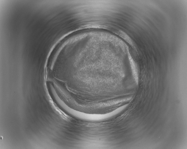 X0000069811132200606091828