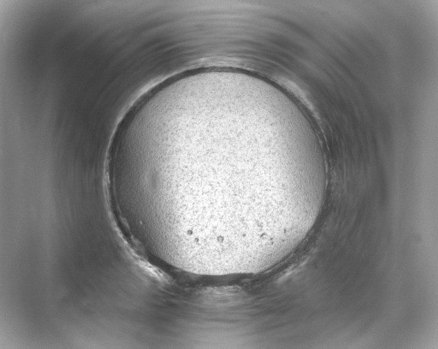 X0000069811133200606091828