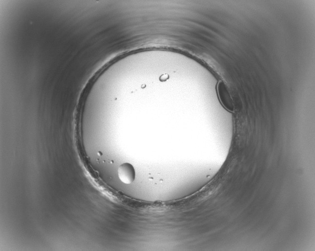 X0000069811134200606091828