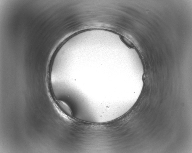 X0000069811136200606091828