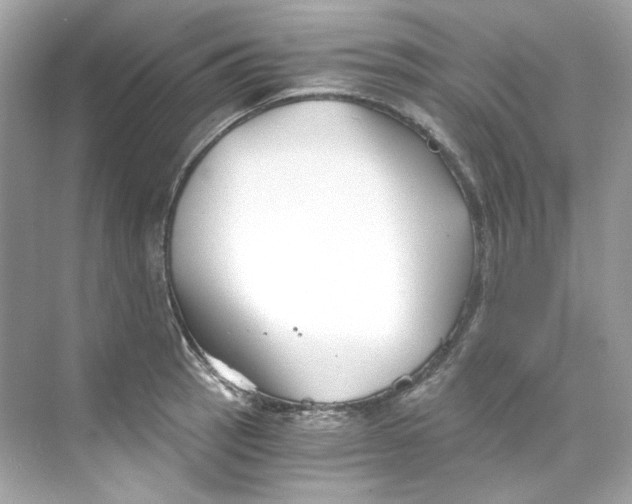 X0000069811137200606091828