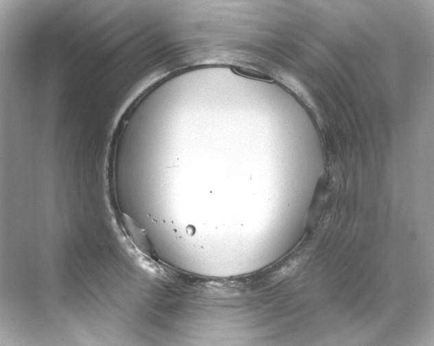 X0000069811138200606091828