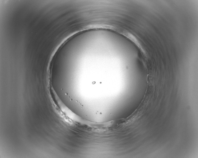 X0000069811140200606091828