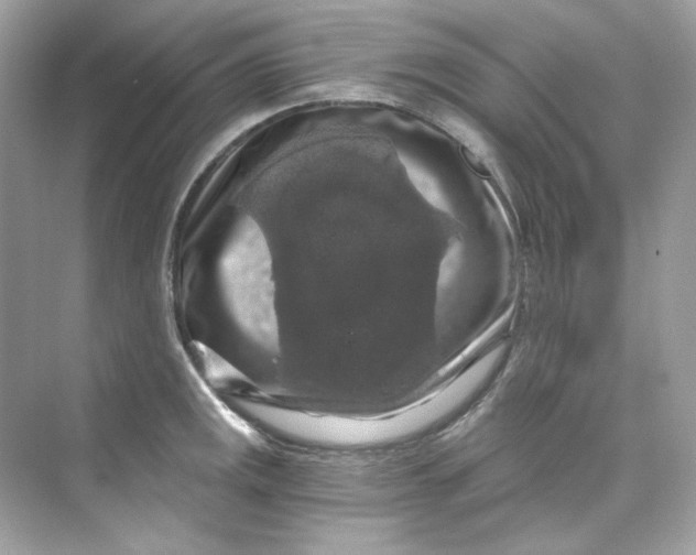 X0000069811141200606091828