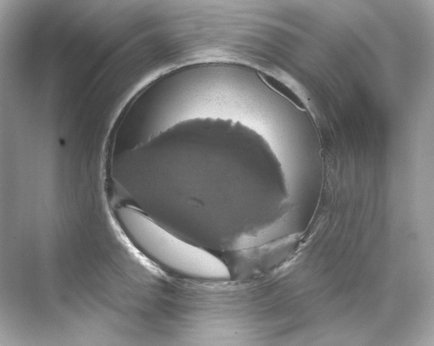 X0000069811142200606091828