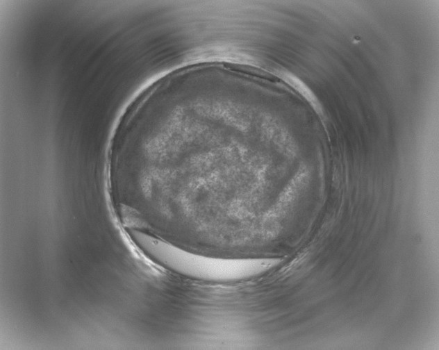 X0000069811144200606091828