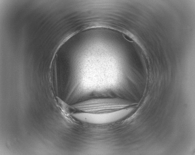 X0000069811145200606091828