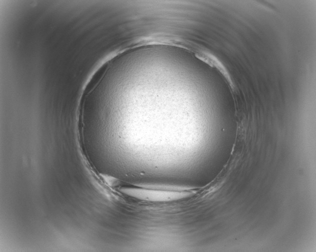 X0000069811146200606091828