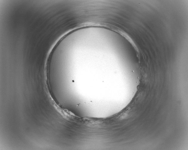 X0000069811148200606091828