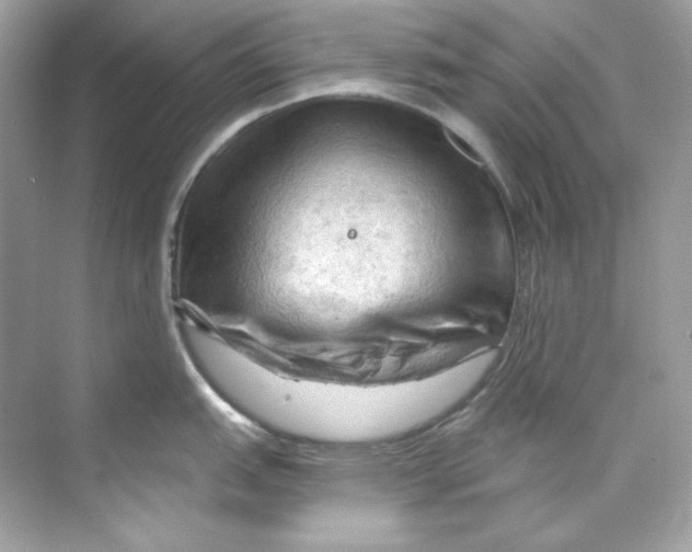 X0000069811151200606091828