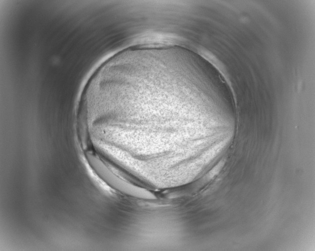 X0000069811152200606091828