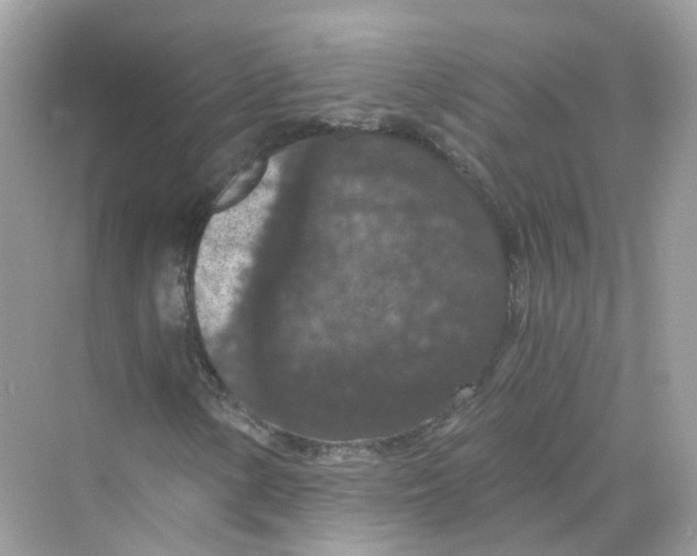 X0000069811154200606091827