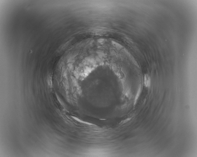 X0000069811155200606091827