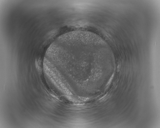 X0000069811156200606091827