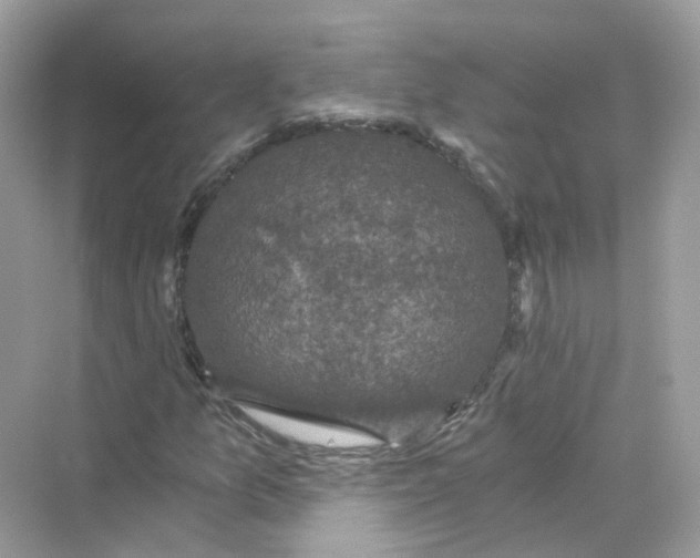 X0000069811157200606091827