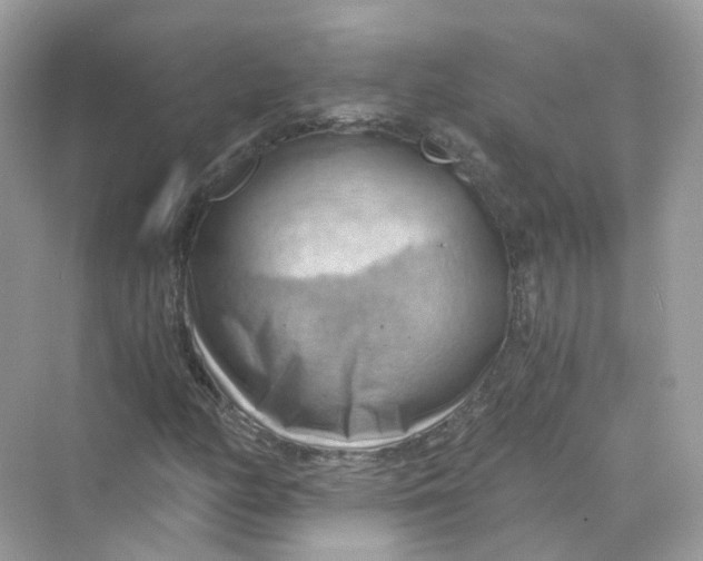 X0000069811158200606091827