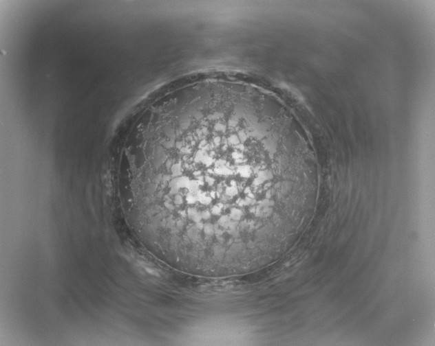 X0000069811159200606091827