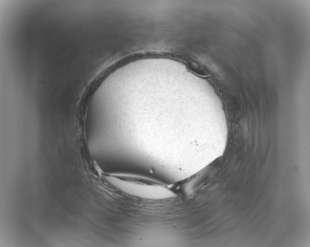 X0000069811160200606091827