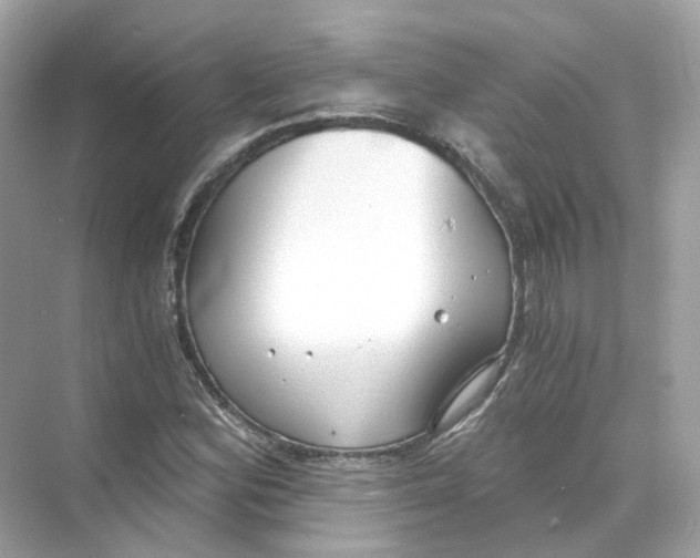 X0000069811164200606091827