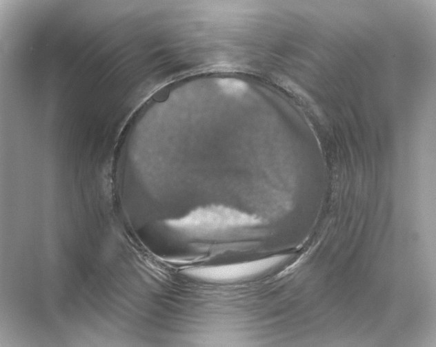 X0000069811170200606091827