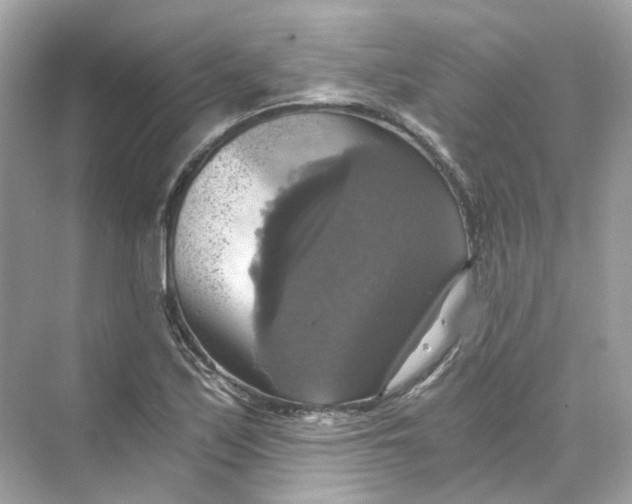 X0000069811171200606091827