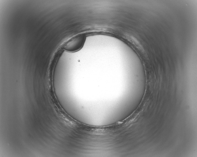 X0000069811172200606091827