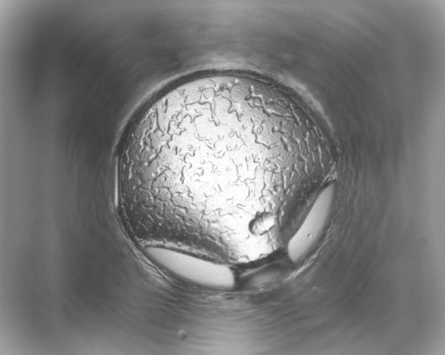 X0000069811175200606091827