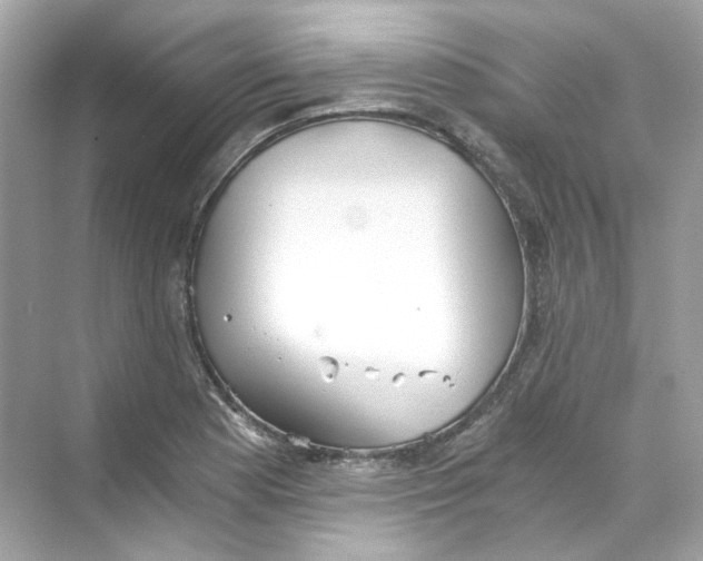 X0000069811177200606091827