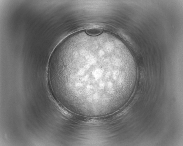 X0000069811178200606091827