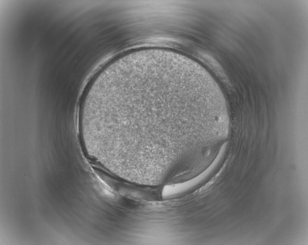 X0000069811180200606091827