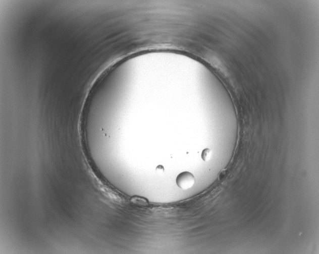 X0000069811181200606091827