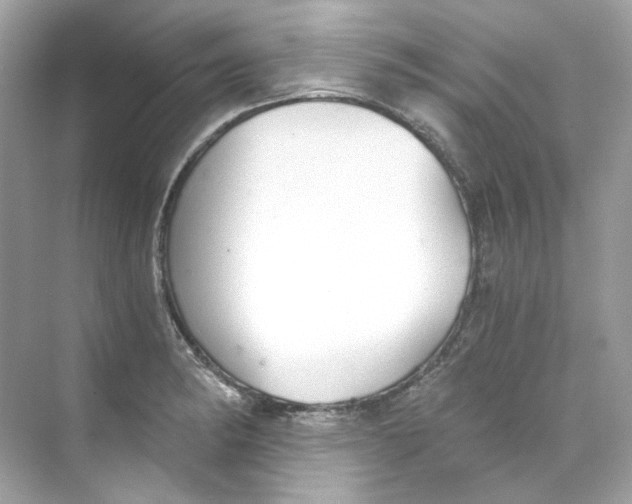 X0000069811182200606091827