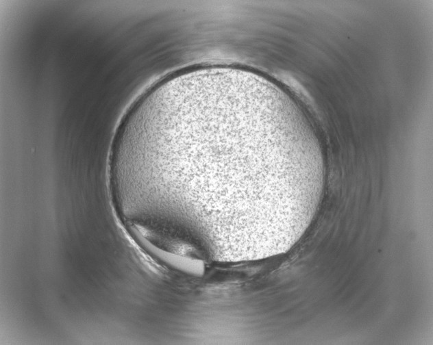 X0000069811183200606091827