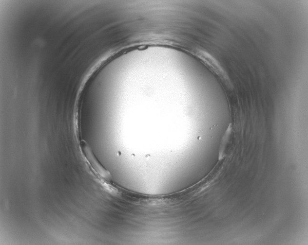 X0000069811188200606091827