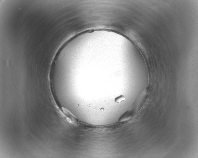 X0000069811189200606091827