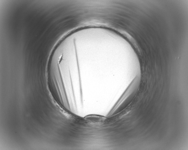 X0000069811191200606091827