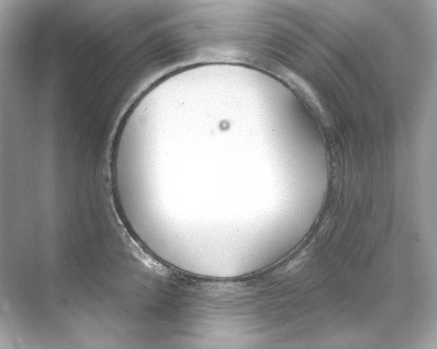 X0000069811192200606091827