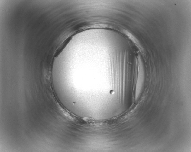 X0000069811193200606091827