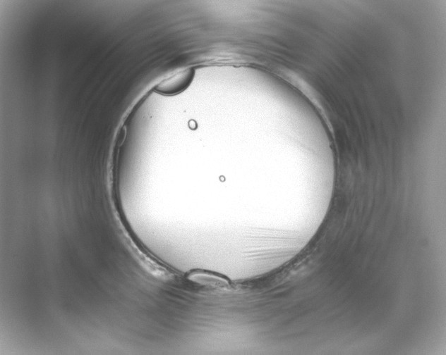 X0000069811195200606091827