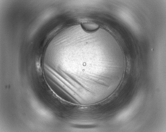 X0000069811198200606091827