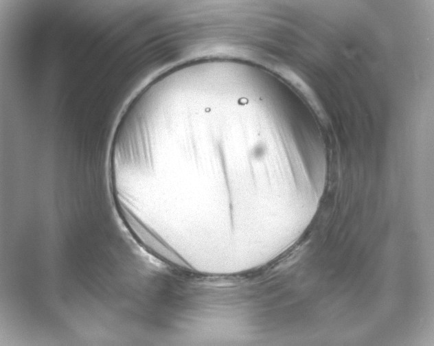 X0000069811199200606091827