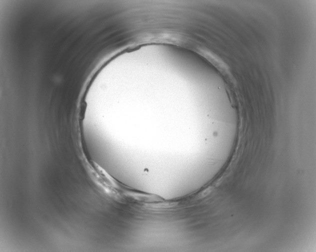 X0000069811200200606091827