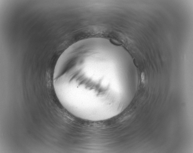 X0000069811203200606091826