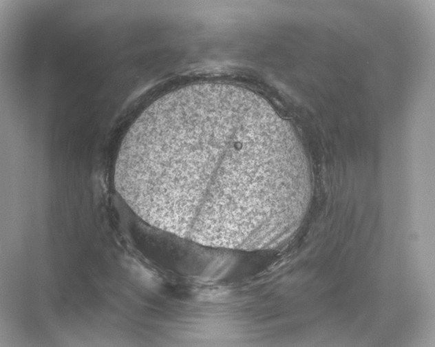 X0000069811206200606091826