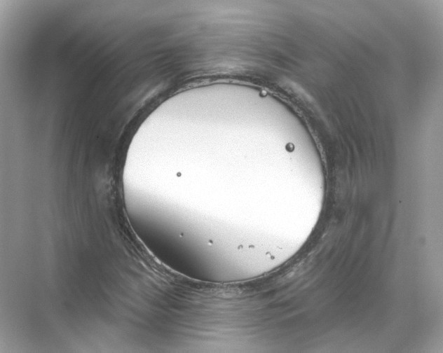 X0000069811210200606091826